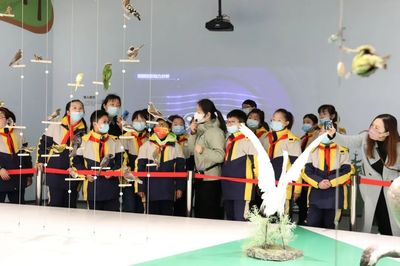 文博創新，IP出圈 看江蘇鹽城如何讓城市文化“活”起來